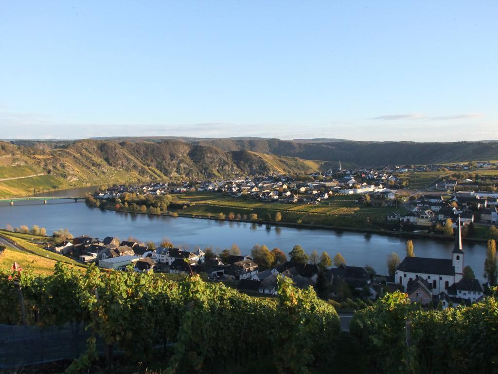 Weingut Lehnert-Veit Gutshotel Piesport Extérieur photo