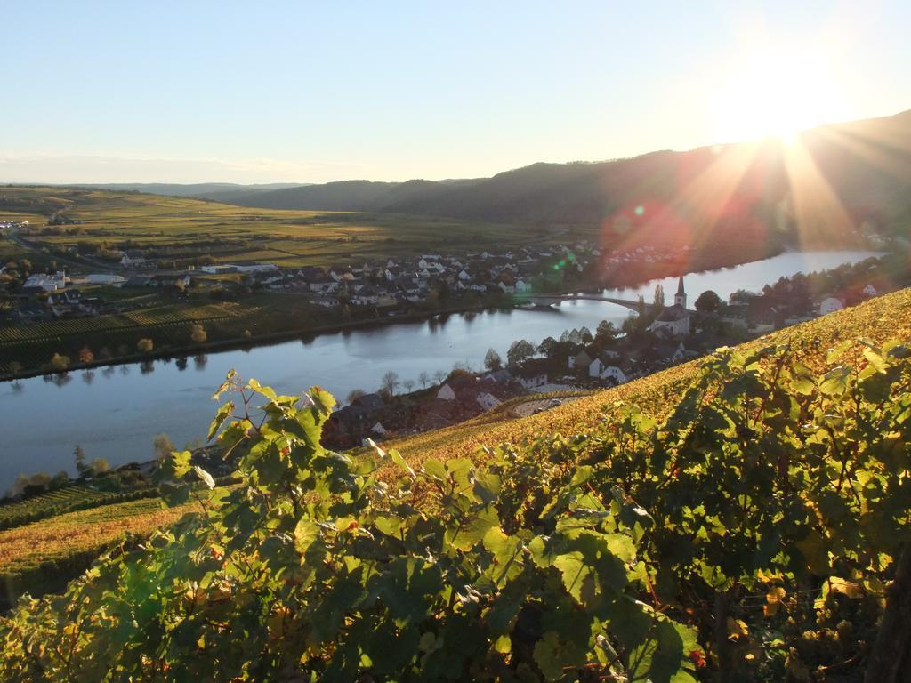 Weingut Lehnert-Veit Gutshotel Piesport Extérieur photo