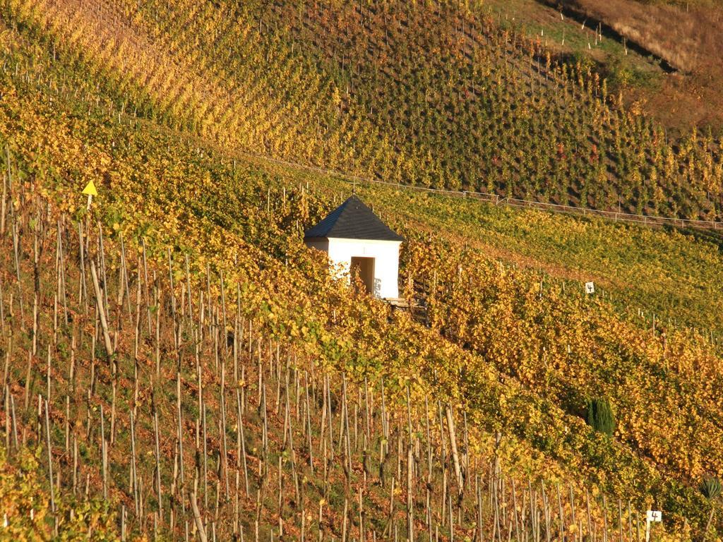 Weingut Lehnert-Veit Gutshotel Piesport Extérieur photo