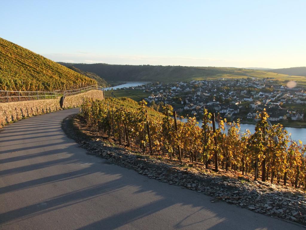 Weingut Lehnert-Veit Gutshotel Piesport Extérieur photo