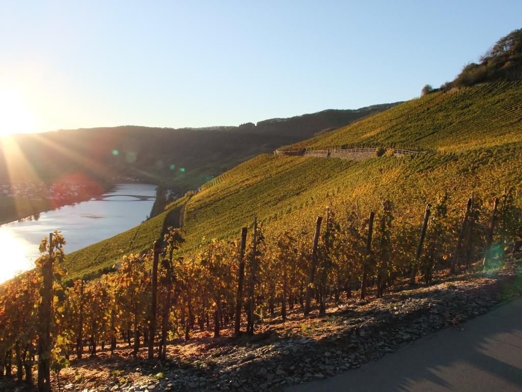 Weingut Lehnert-Veit Gutshotel Piesport Extérieur photo