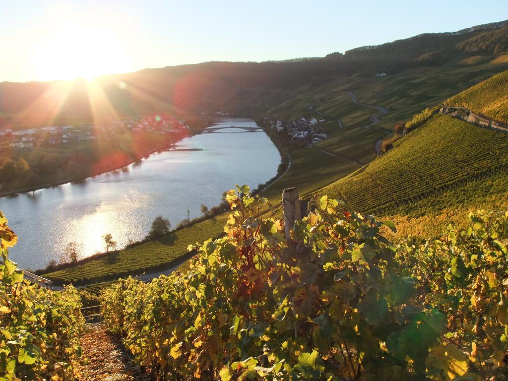 Weingut Lehnert-Veit Gutshotel Piesport Extérieur photo