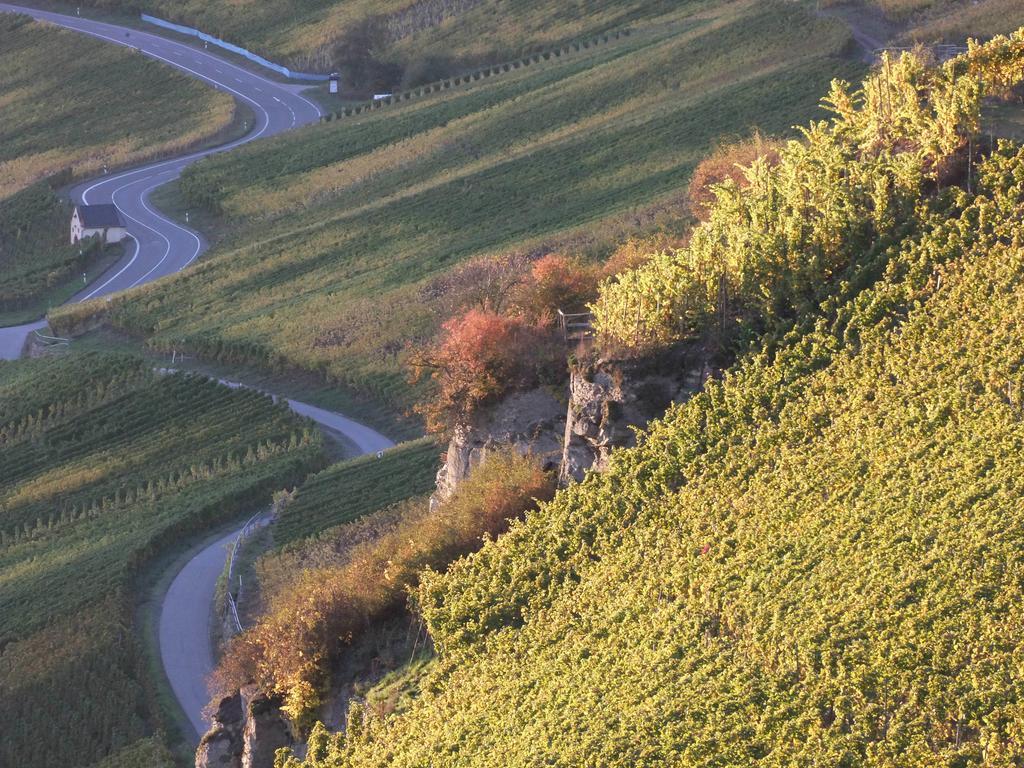 Weingut Lehnert-Veit Gutshotel Piesport Extérieur photo