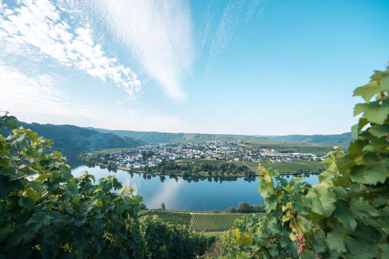 Weingut Lehnert-Veit Gutshotel Piesport Extérieur photo